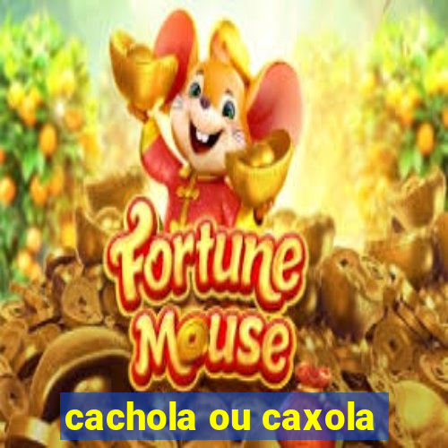 cachola ou caxola